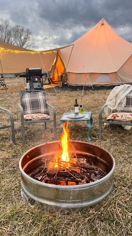 Shenandoah Valley Glamping - Amazing Views - Farm Edinburg Екстериор снимка
