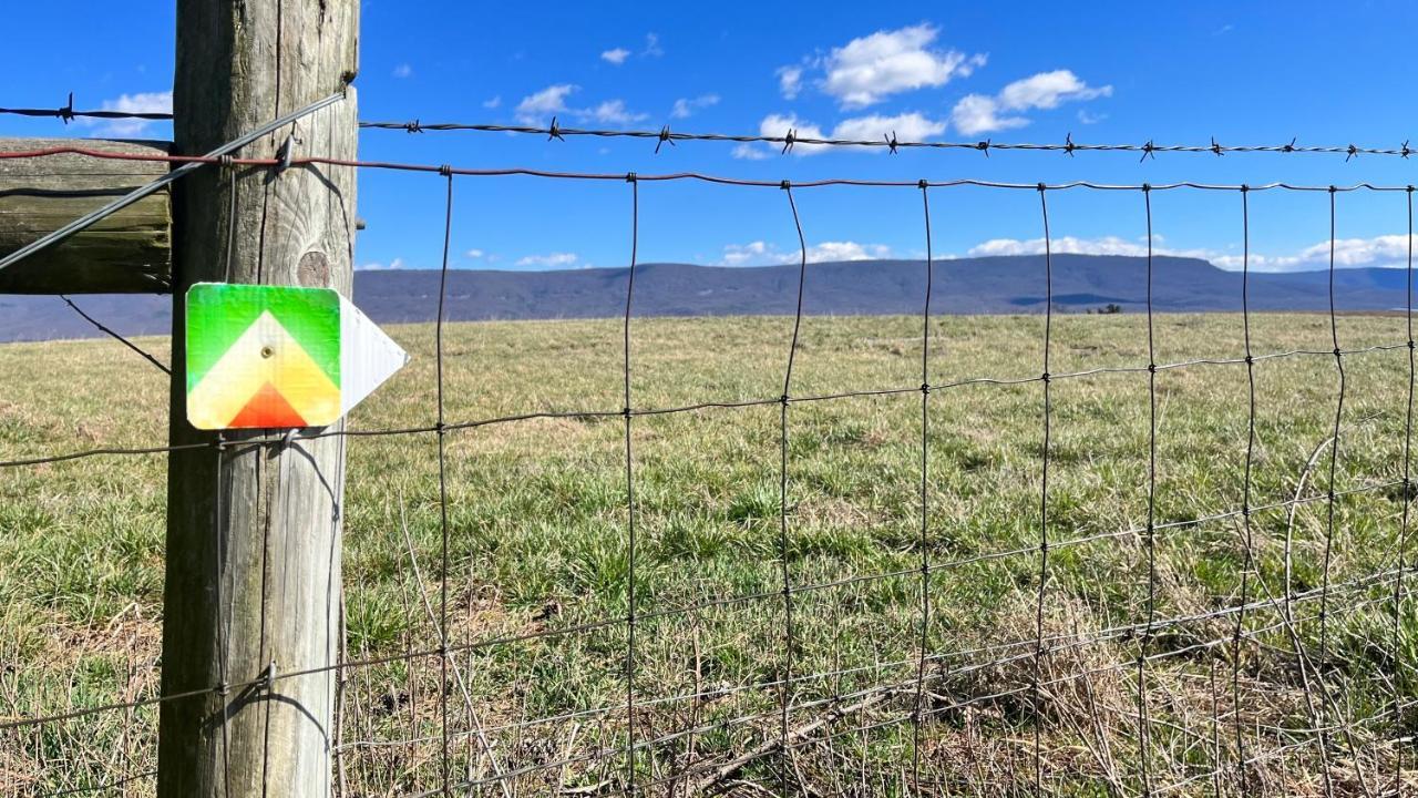 Shenandoah Valley Glamping - Amazing Views - Farm Edinburg Екстериор снимка