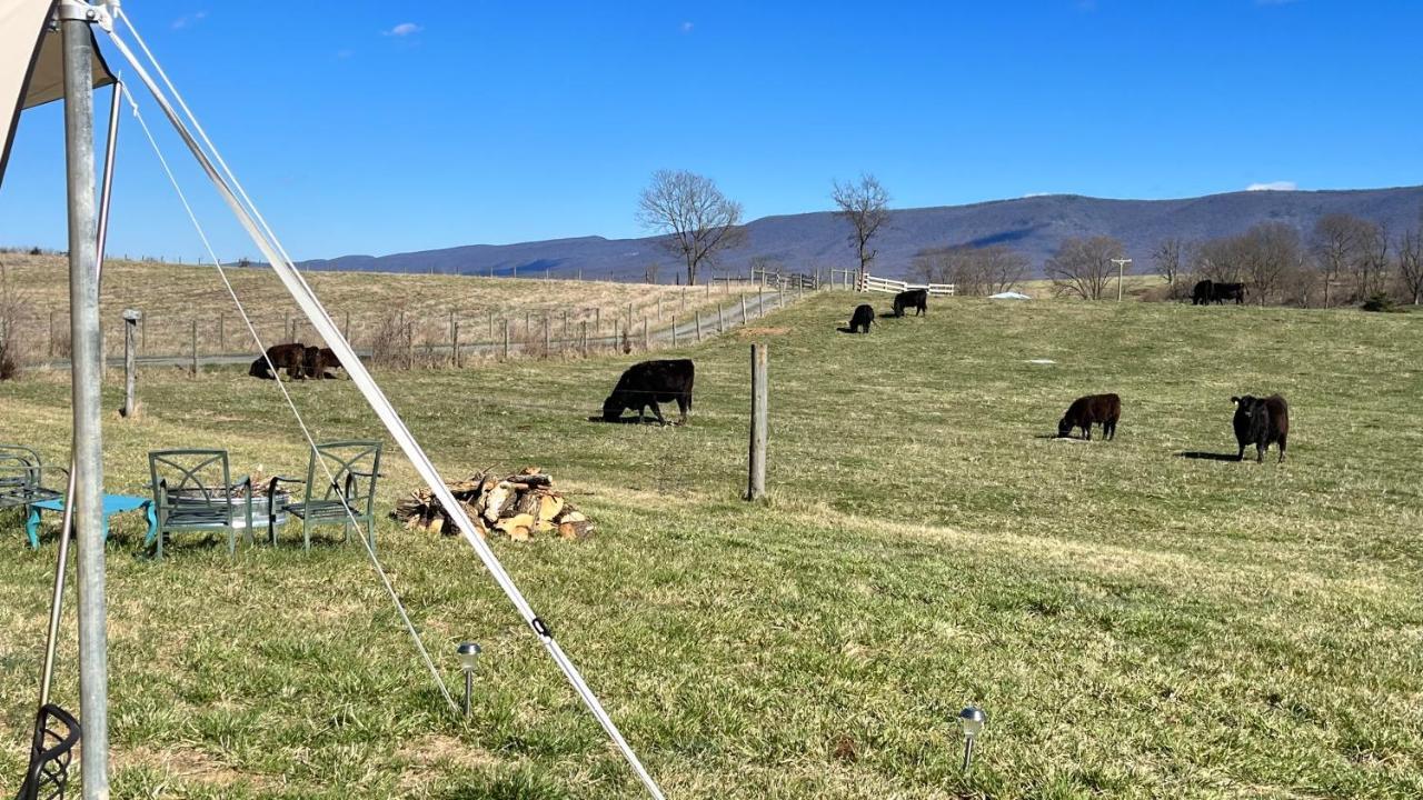 Shenandoah Valley Glamping - Amazing Views - Farm Edinburg Екстериор снимка